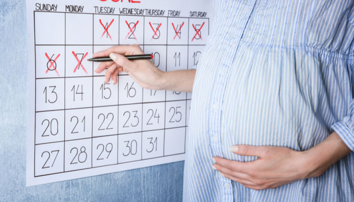 tüp bebekte hamilelik haftası hesaplama