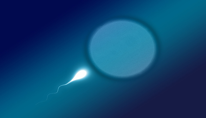 sperm şekil bozuklukları