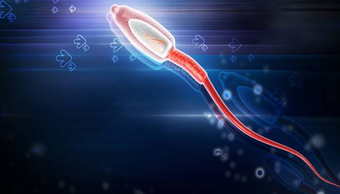 erkek kısırlığında sperm dna hasarı