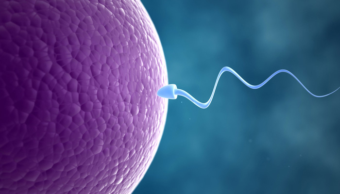 sperm DNA hasar testi sonucu kaç olmalı